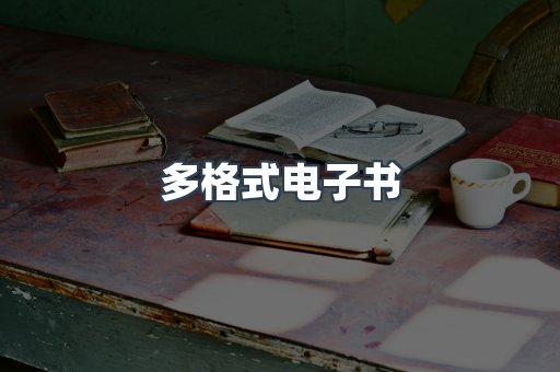 多格式电子书
